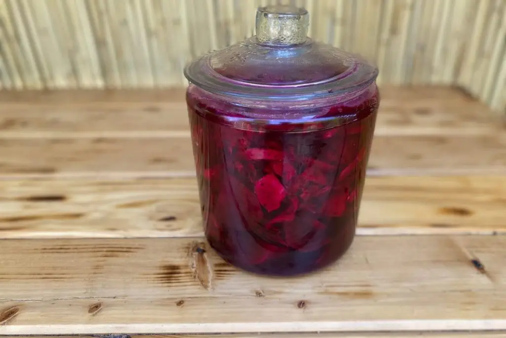 A DEEP DIVE INTO BEET KVASS: The Ancient Elixir for Modern Health